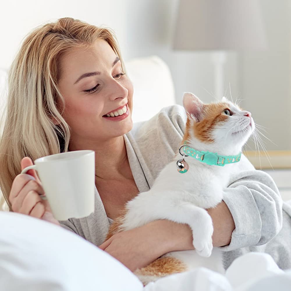 Baeuppit glow-in-the-dark cat collar on a playful kitten look.