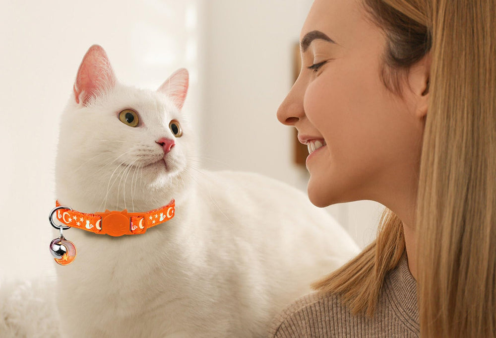 Baeuppit cat collar for kittens and cats with safe breakaway design.