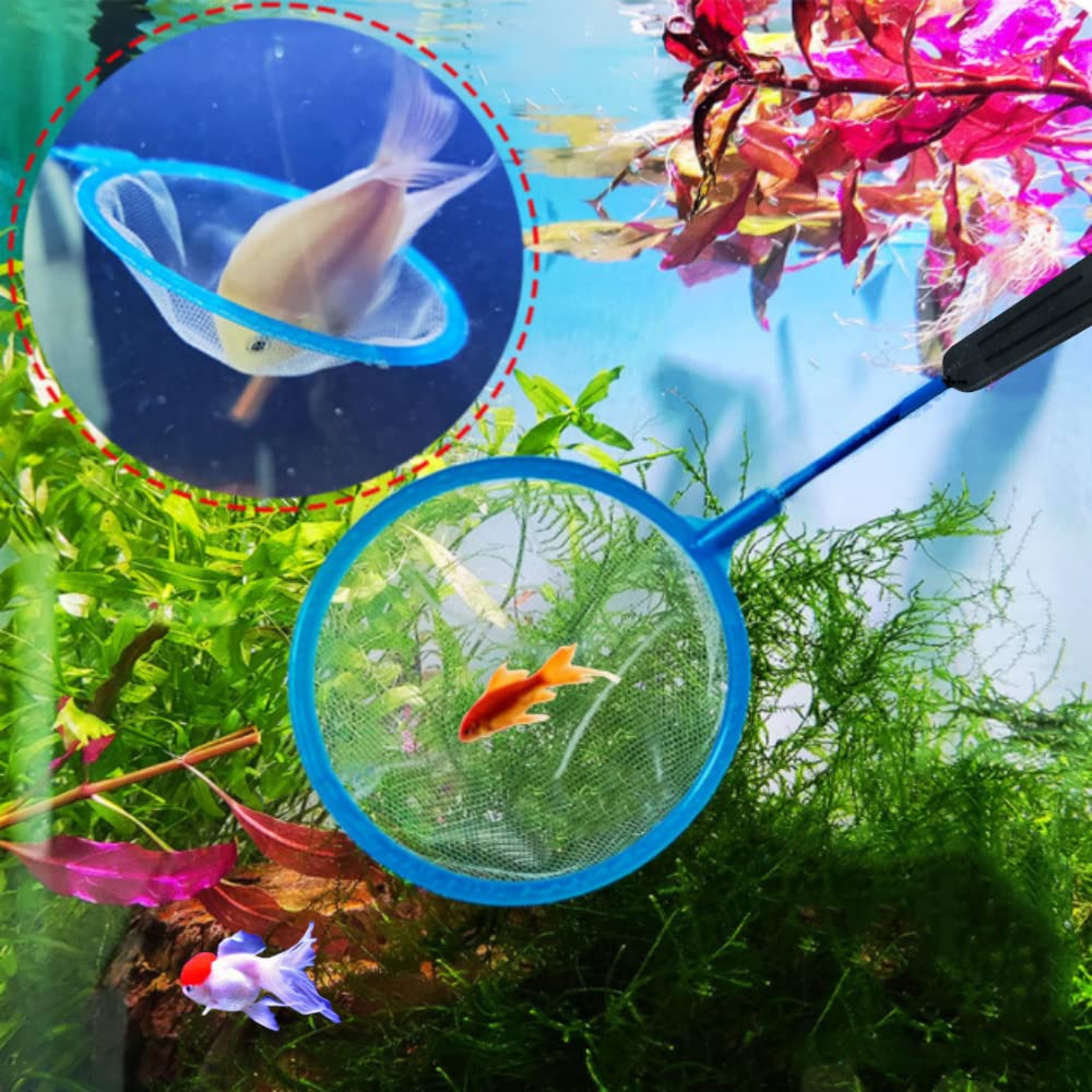 BAIHUI 10-piece blue set suitable for Artemia collection and new fish transfers