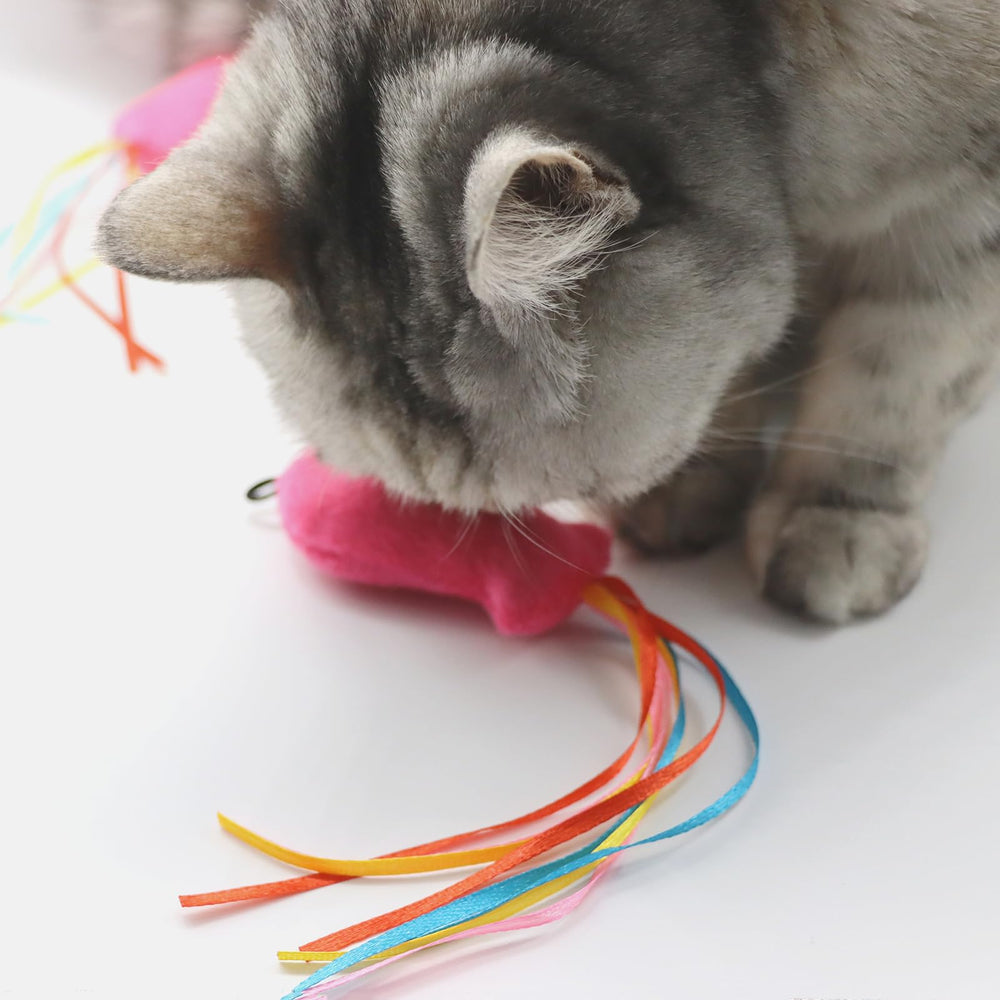 BaiKevin indoor cat playtime setup with plush toys boosts gentle exercise.