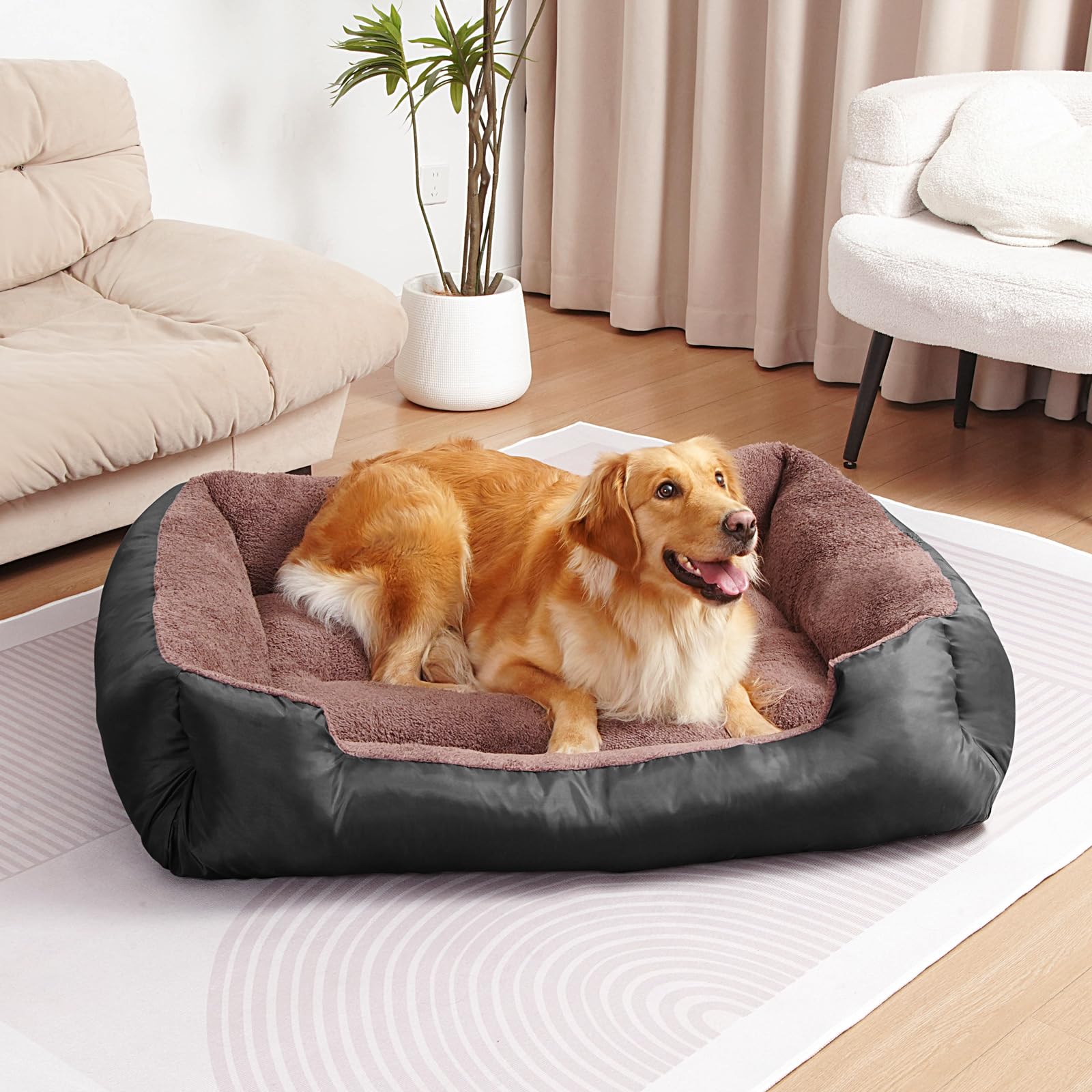 BAILARY dog bed care and washing instructions help maintain cleanliness.