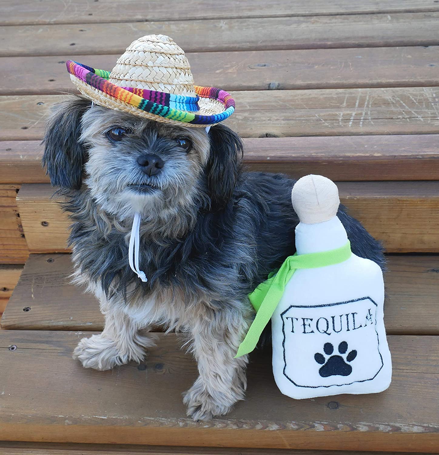 Baja Ponchos four-pack display with sombrero taco tequila and hot sauce toys.