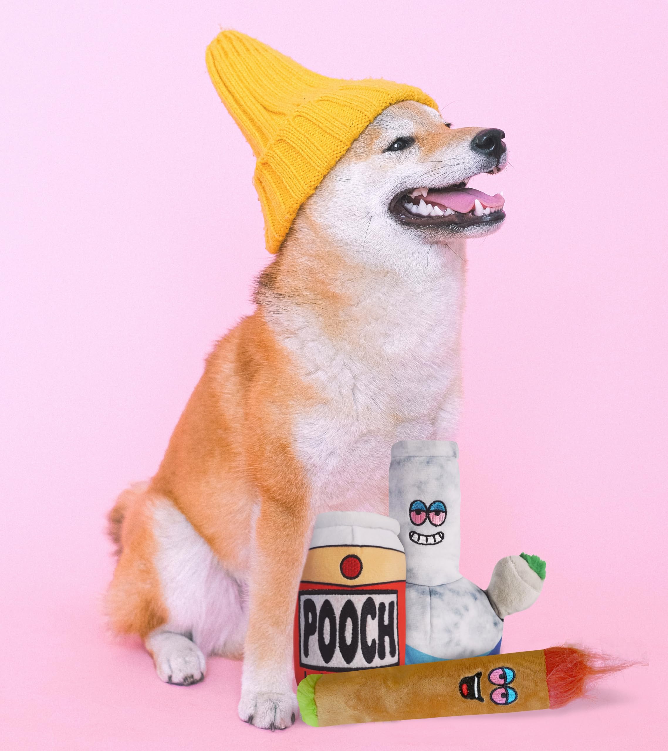 Baja Ponchos Friendly Vibes dog playing with plush chew toys for active fun
