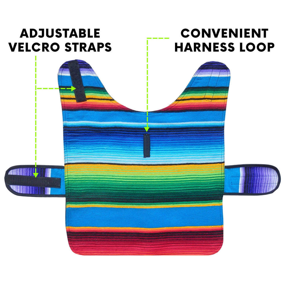 Baja Ponchos Shih Tzu poncho blue medium worn on dog during a stroll