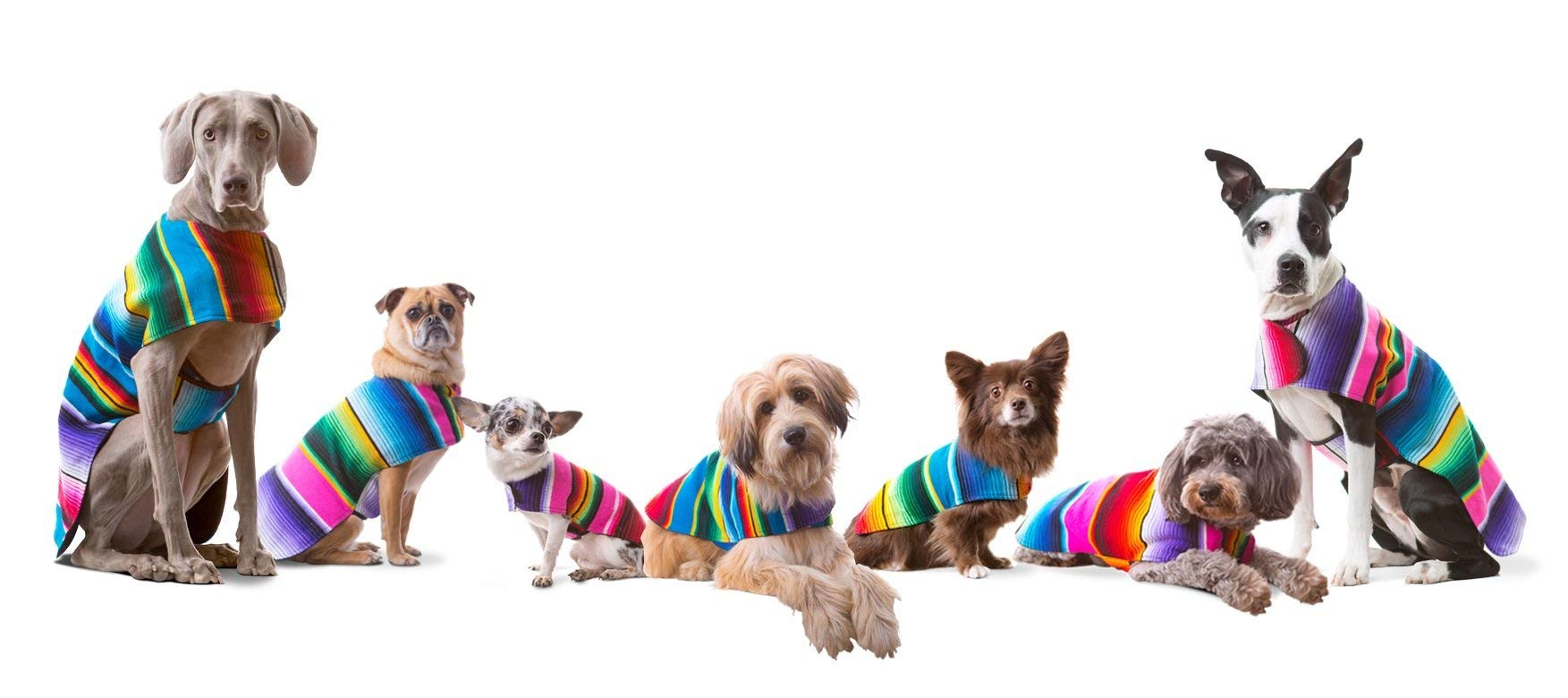 Baja Ponchos Shih Tzu poncho blue medium size range for versatile fit