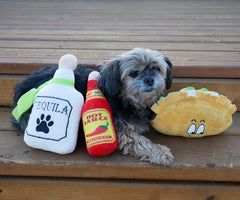 Baja Ponchos sombrero plush toy, perfect for fetch and photo-worthy moments.