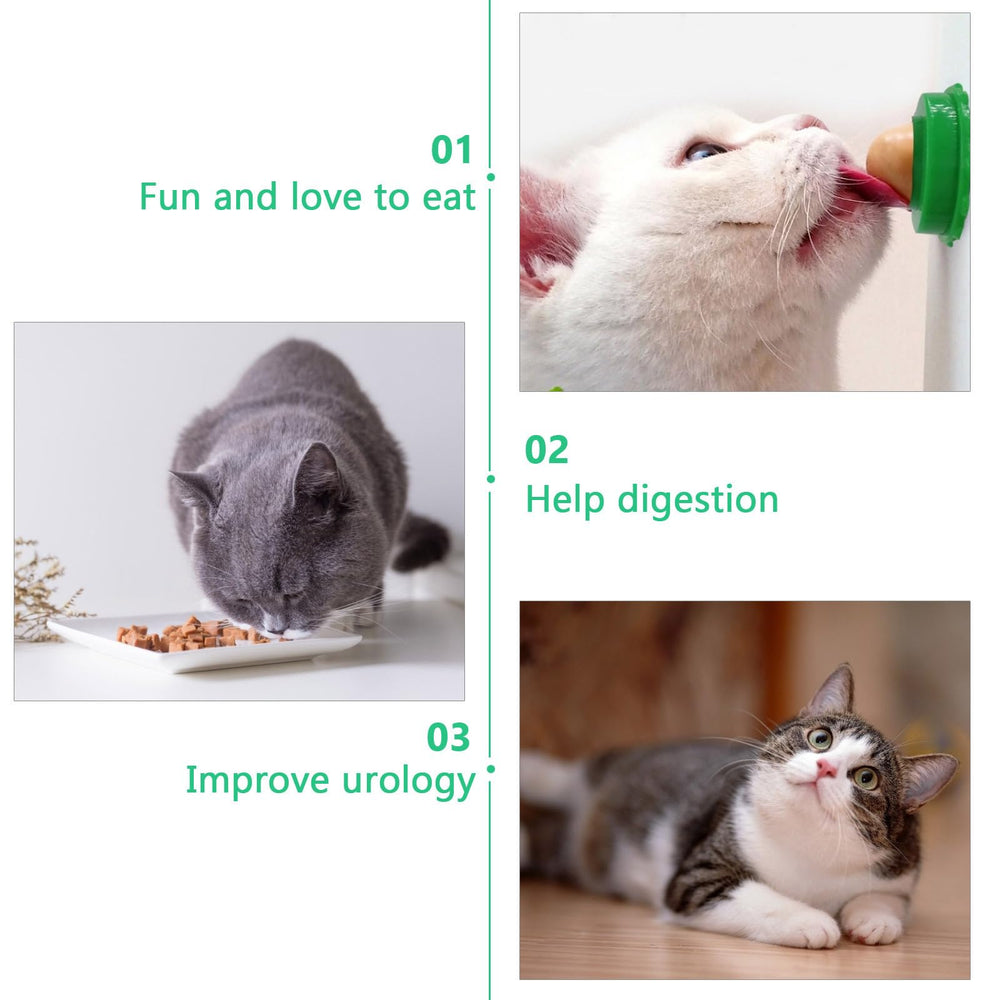 Balacoo cat snacks candy ball kitten play: interactive treat for curious felines.