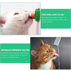 Balacoo cat snacks candy ball with transparent lid: safe storage between adventures.