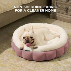 BALANCE anti-slip bottom donut bed maintains secure placement on floors.