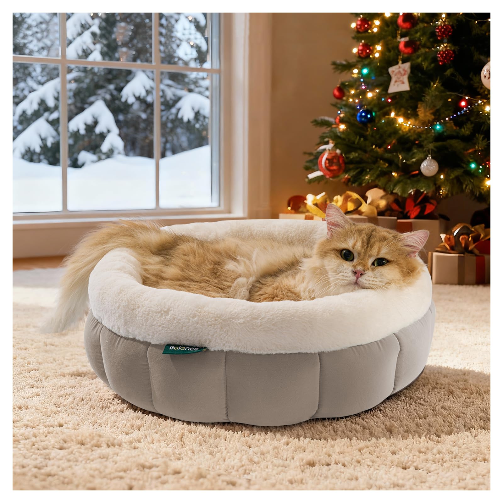 BALANCE 18-inch donut cat bed front view promotes calm, restful naps for small pets.