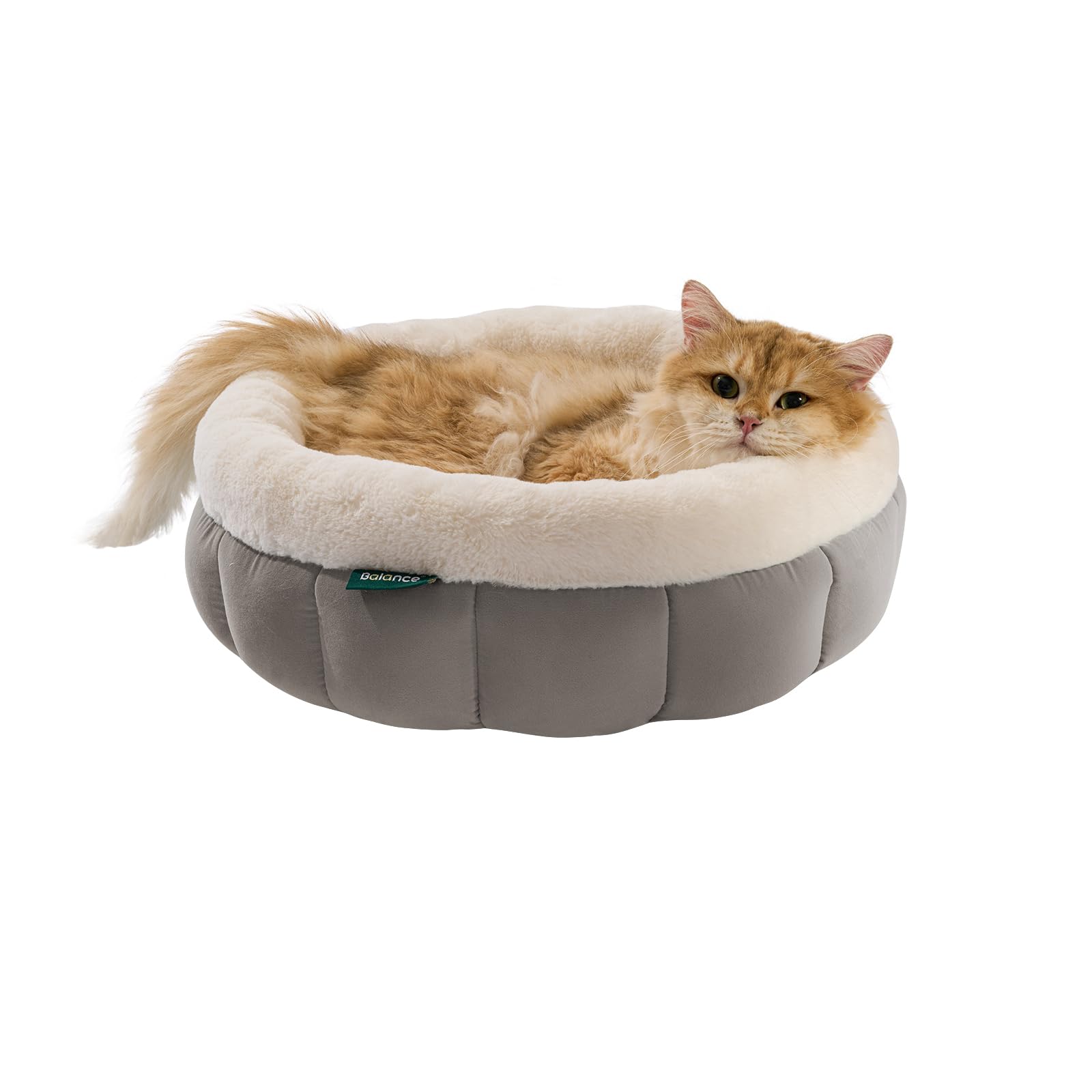 BALANCE cat bed suits cats and small dogs for cozy crate or couch naps.