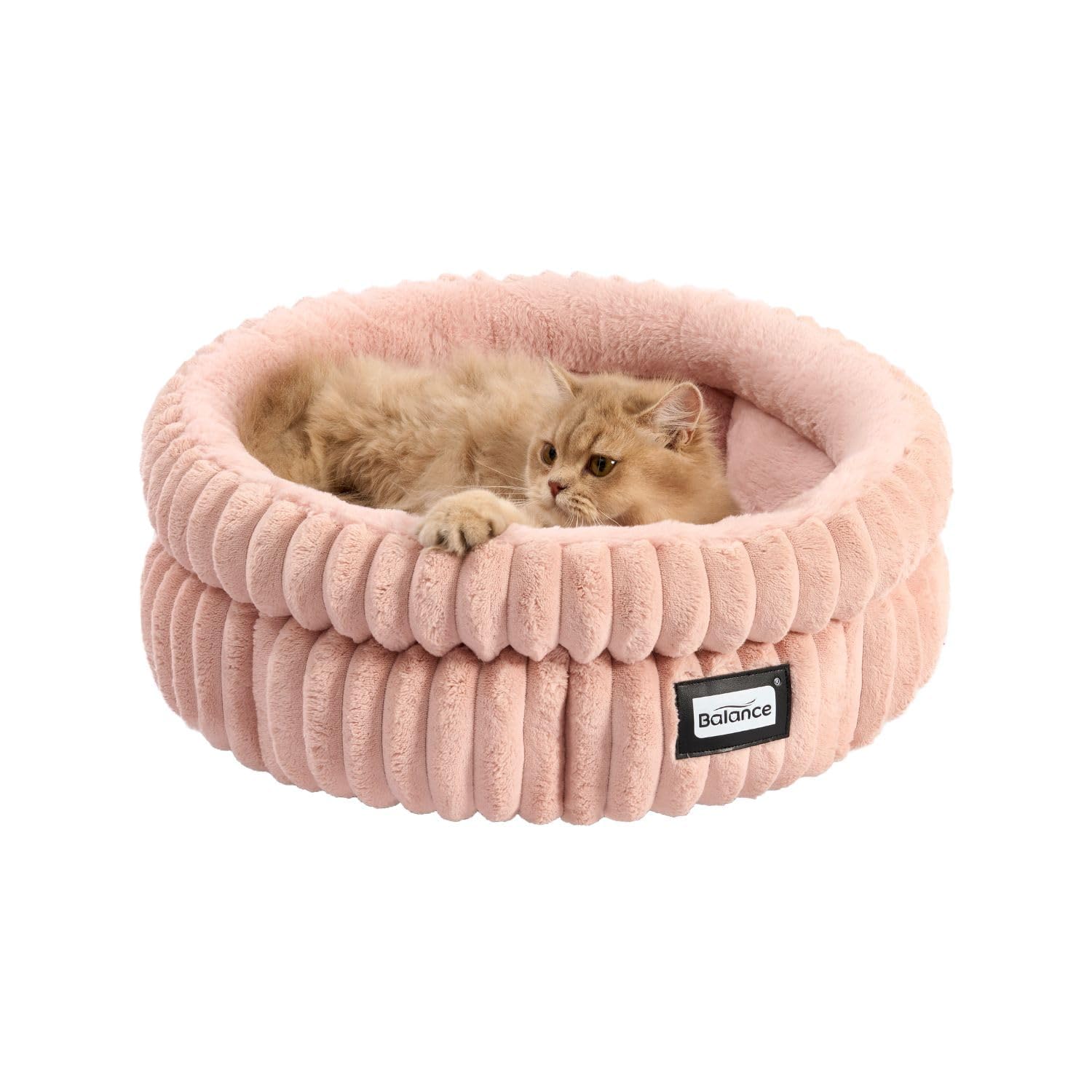 BALANCE cat bed round edge-support close-up highlighting neck and head comfort.