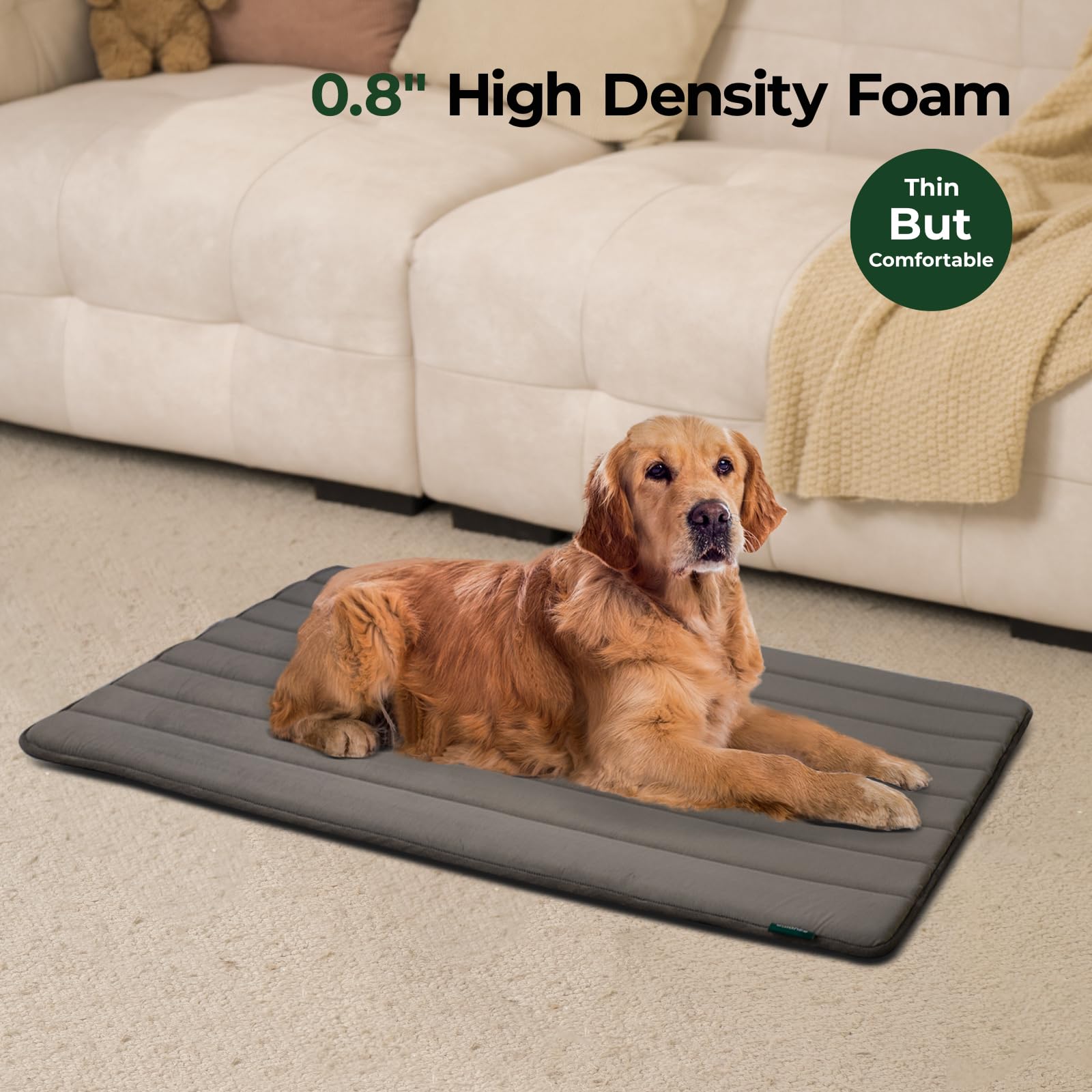 BALANCE dog bed with water-resistant-top repels spills for clean resting areas.