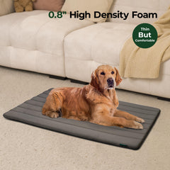 BALANCE dog bed with water-resistant-top repels spills for clean resting areas.