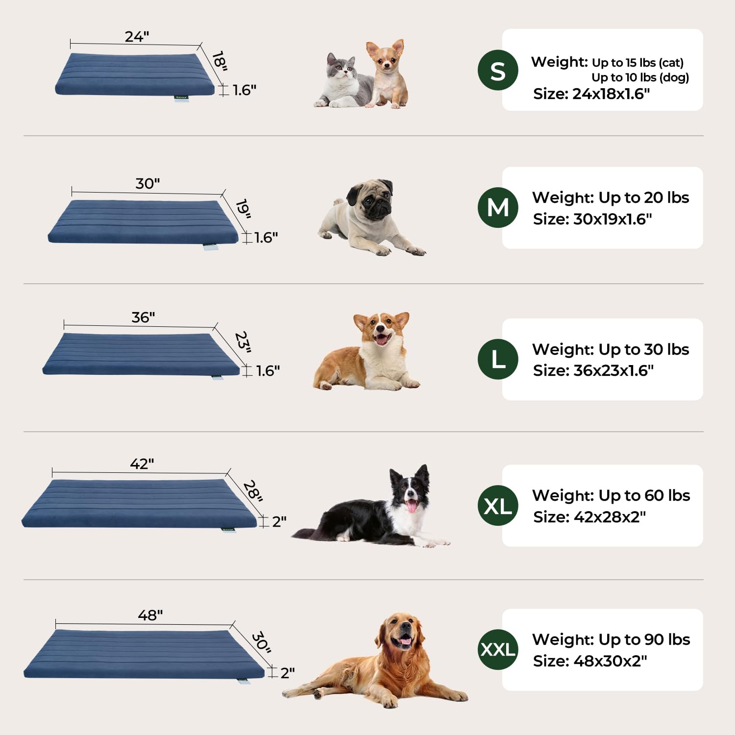 BALANCE Bed sized for large to small breeds shows adaptability.