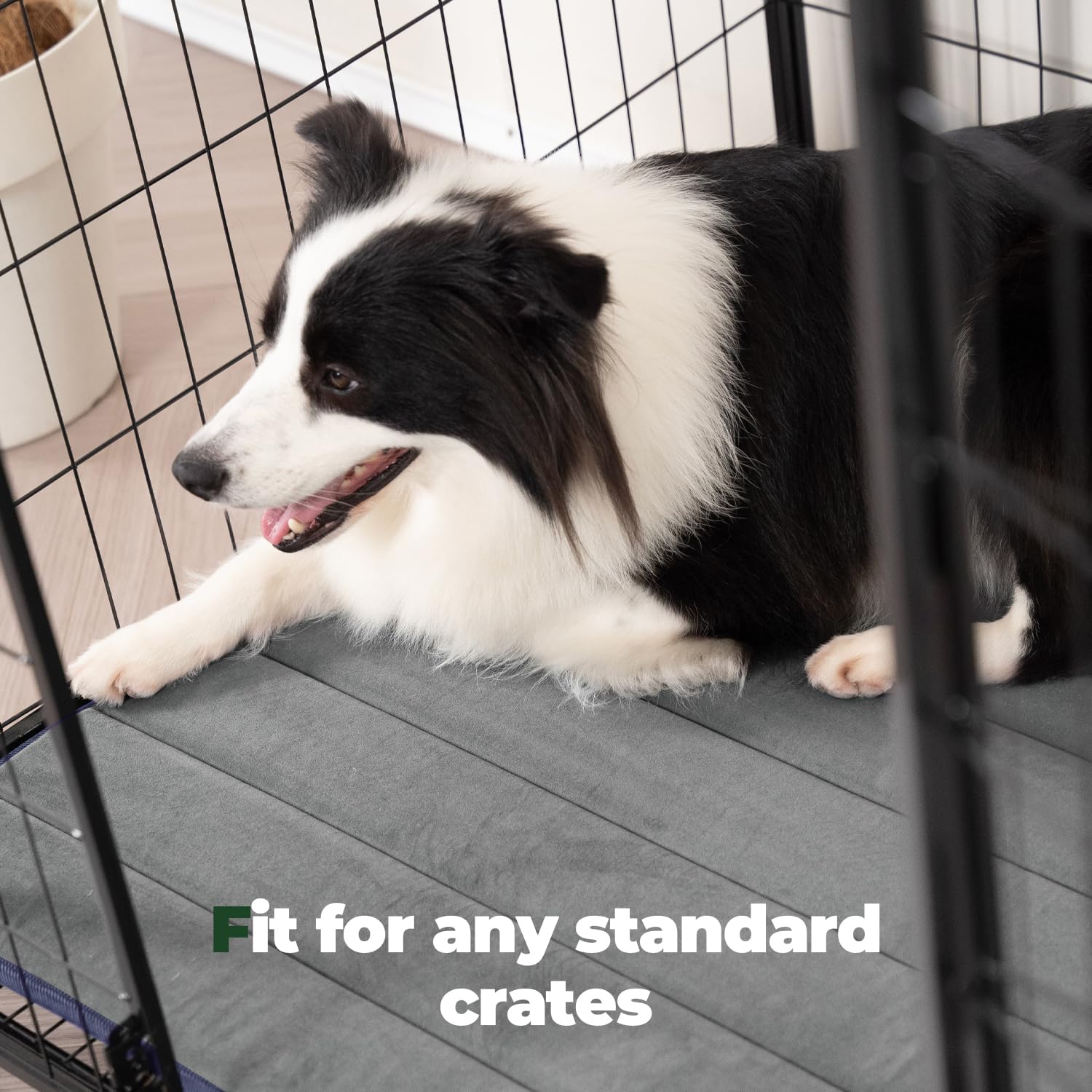 BALANCE Dog Crate Pad easy-care fabric stays sharp after machine washes.