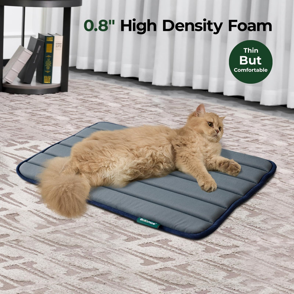 BALANCE crate pad with water-resistant top helps protect the foam core.