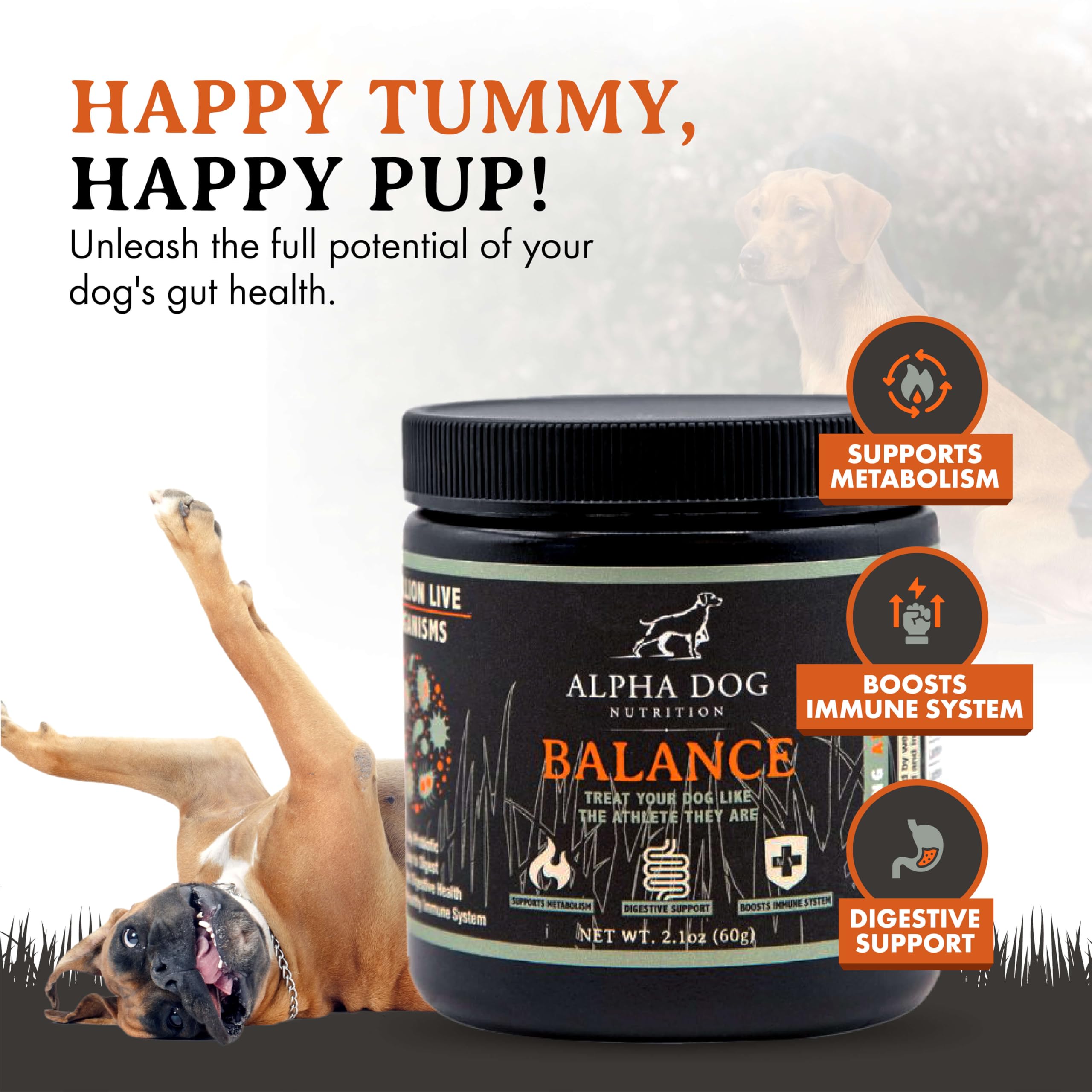 Balance Probiotic Blend with dog bowl illustrating routine digestive wellness.
