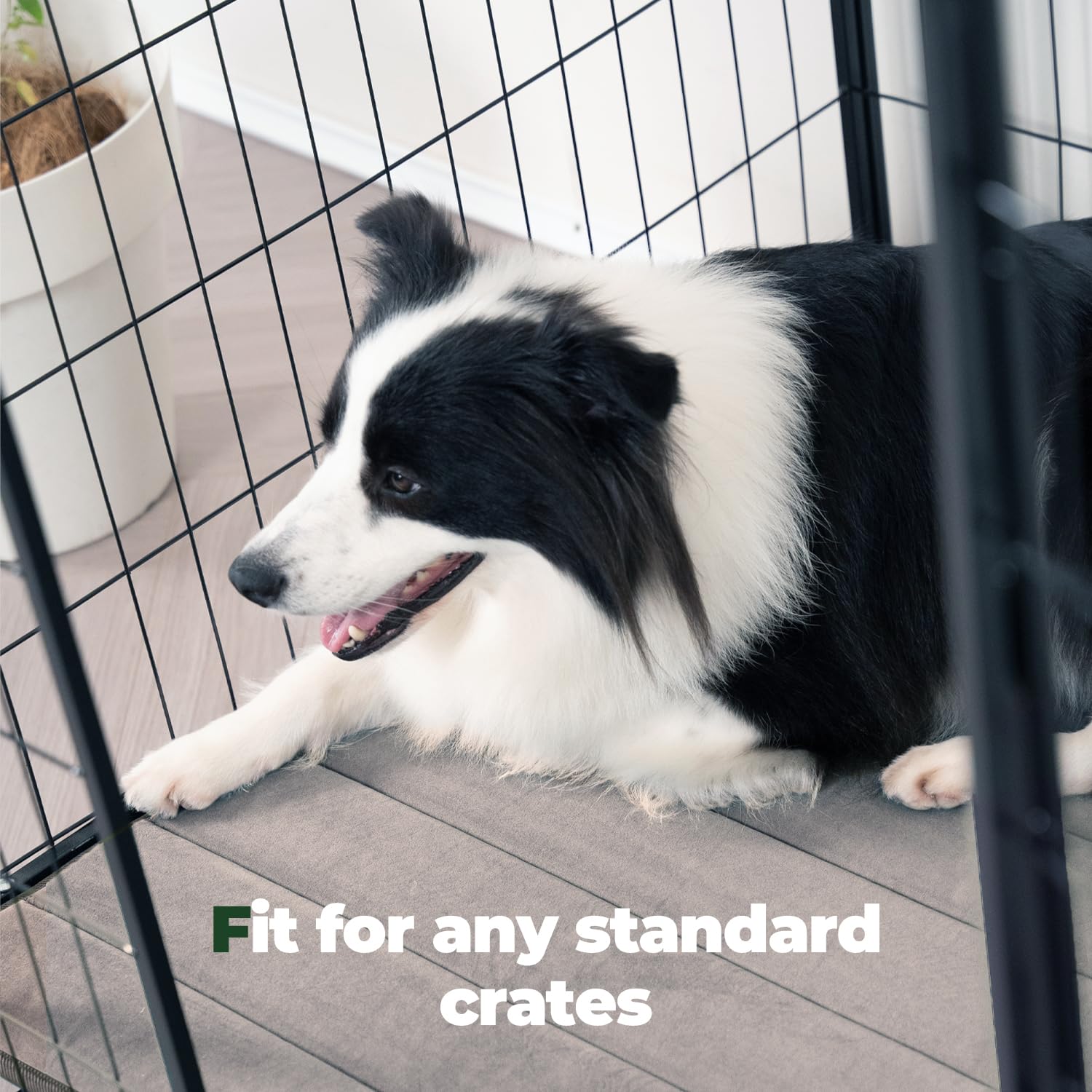 BALANCE washable dog bed is machine-washable for quick cleaning after adventures.