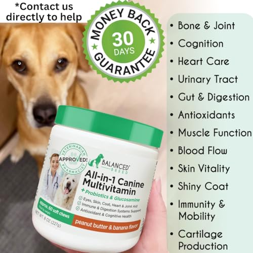 Balanced Breed All-in-1 dog vitamins pills closeup highlights coat health and joint support.