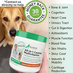 Balanced Breed All-in-1 dog vitamins pills closeup highlights coat health and joint support.