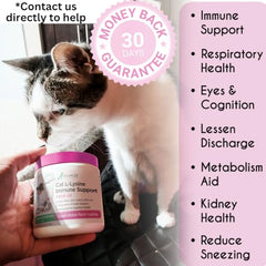 Balanced Breed L-Lysine cat soft chews dispense bottle demonstrates convenient daily use for allergy relief.