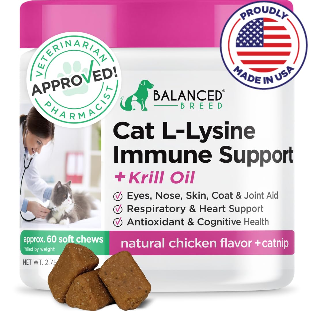 Balanced Breed L-Lysine cat soft chews packaging highlights immune support benefits.