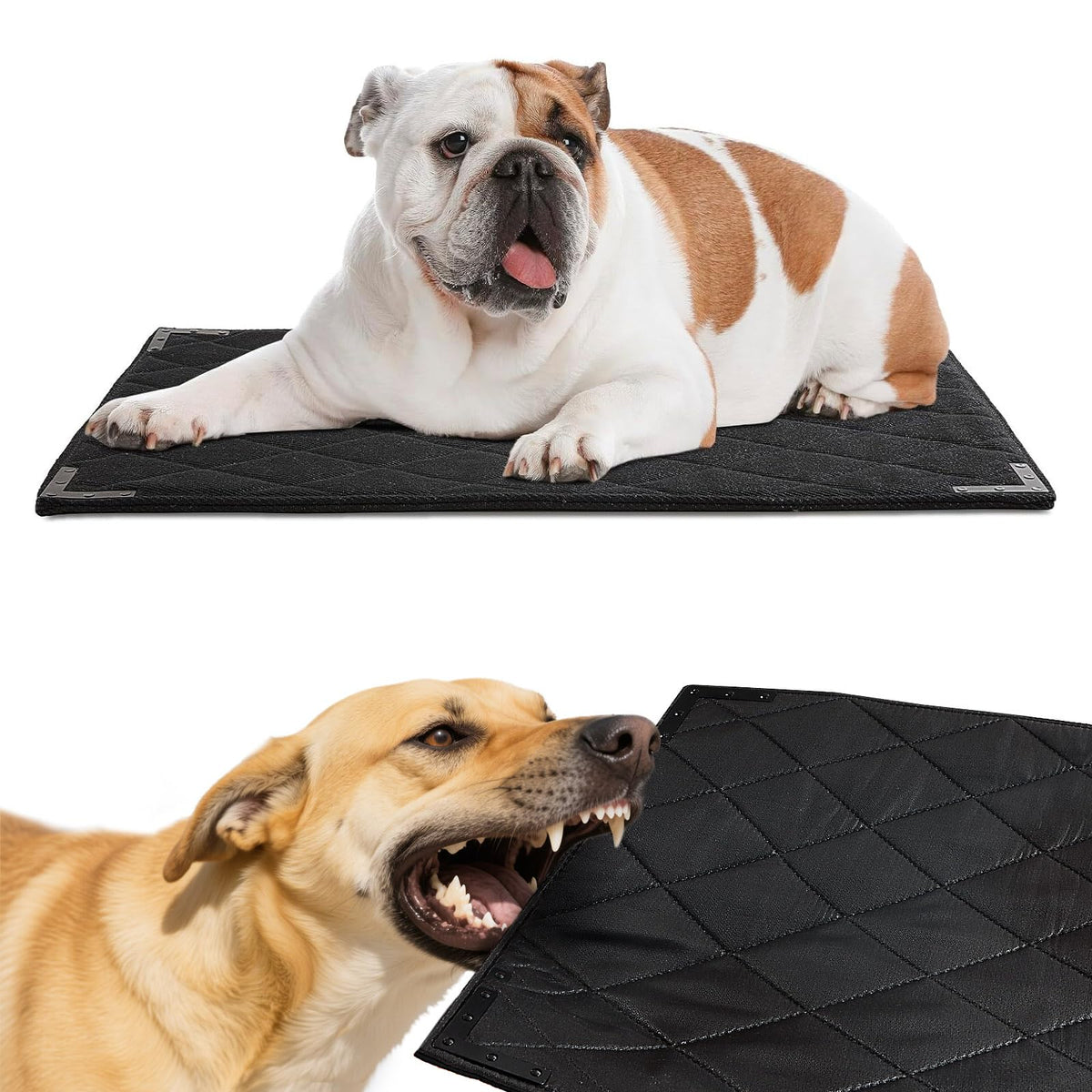 BALAPET chew-proof bed metal-edge closeup showing durable construction for chewers.