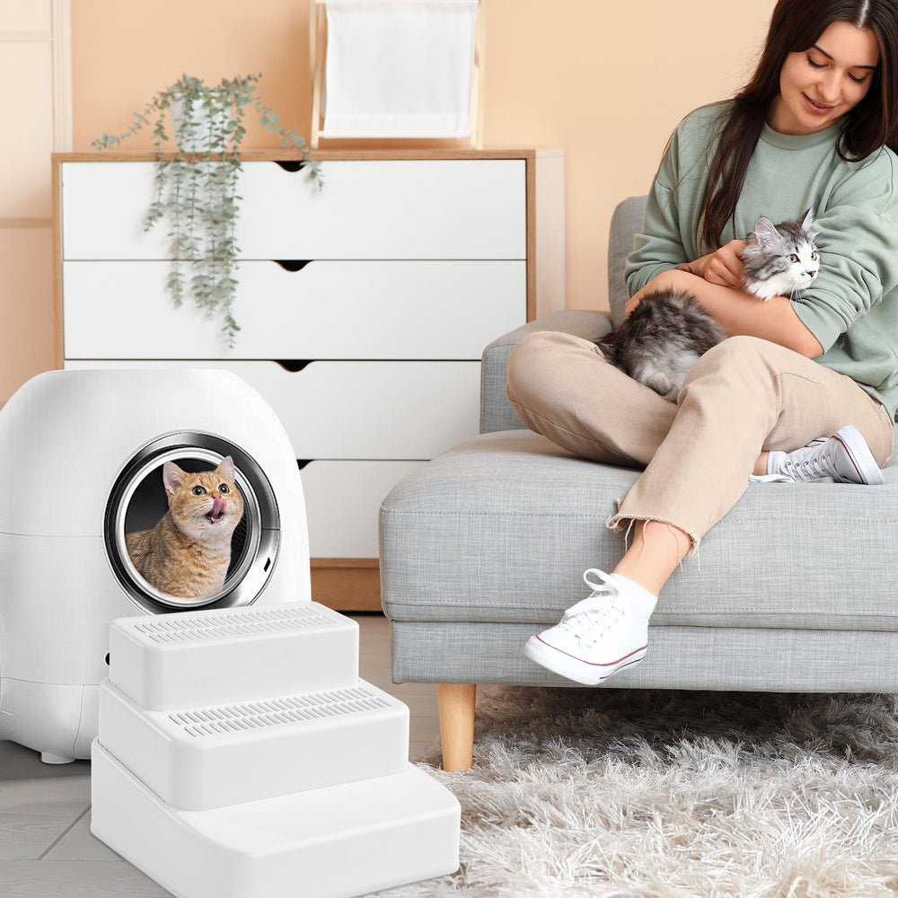 BALAPET ramp-used-on-sofa showcasing pet access for playtime.