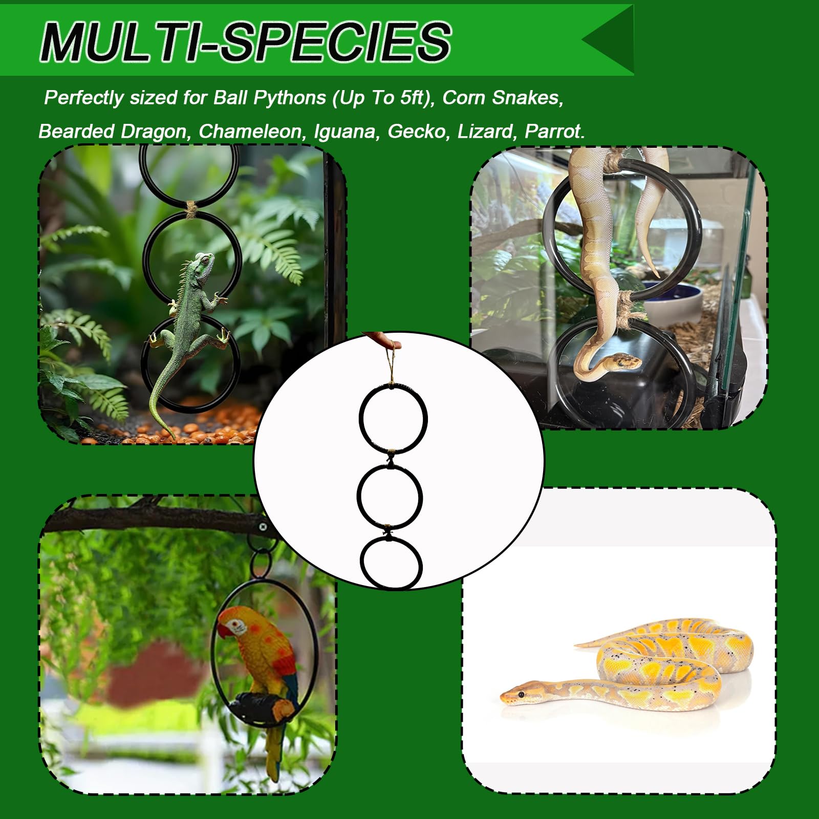 Ball Python Tank Accessory in-tank enrichment promotes active behavior and curiosity