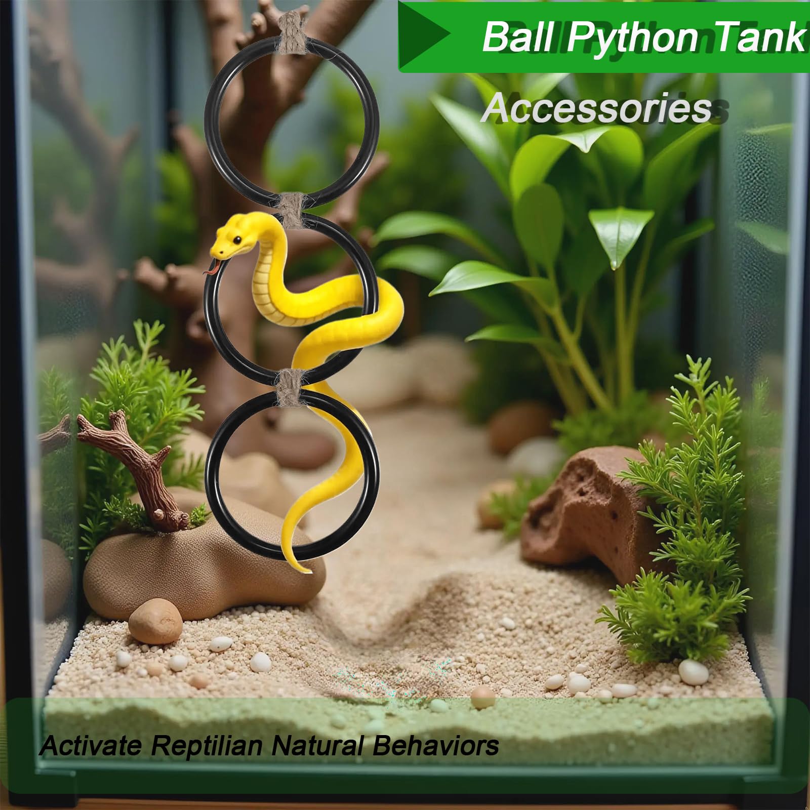 Ball Python Tank Accessory safe edge ring protects scales during climbs