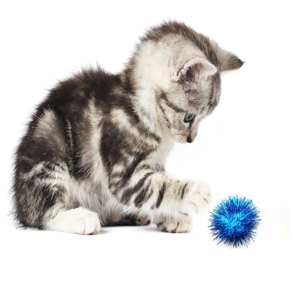 BallHull cat toy scene with sparkles for engaging playtime