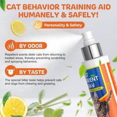 Ballsill spray dispense action showing mist deterring cat behavior