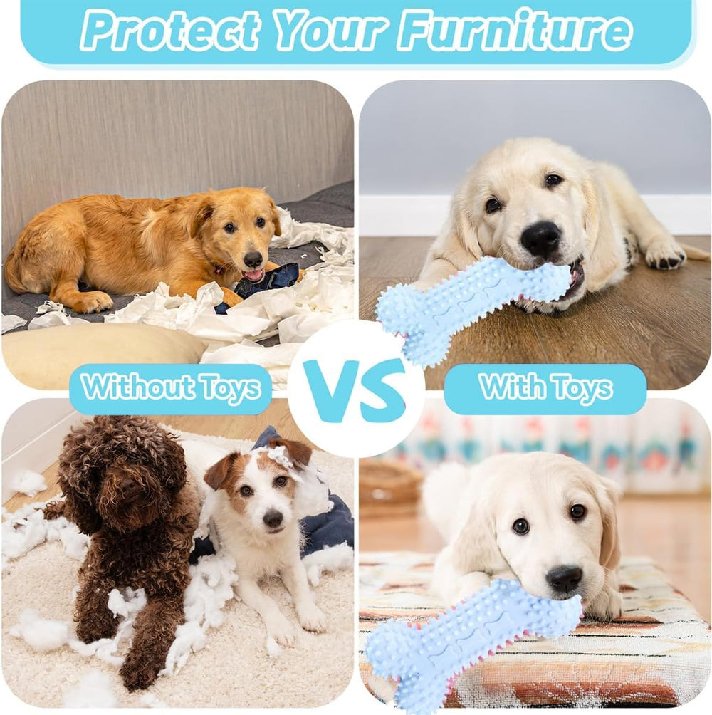Bambinom interactive playtime shot captures engaging toys that keep dogs mentally stimulated