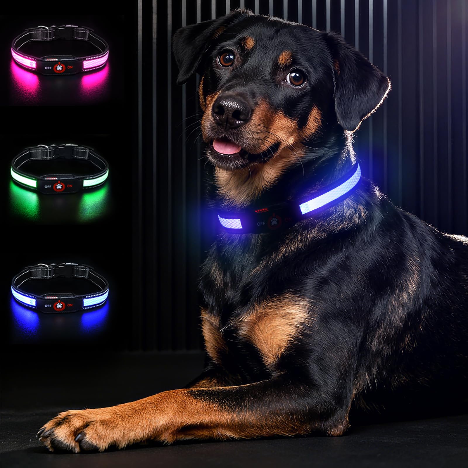 Bamda Light Up Dog Collar Blue-L glows for safer night walks.