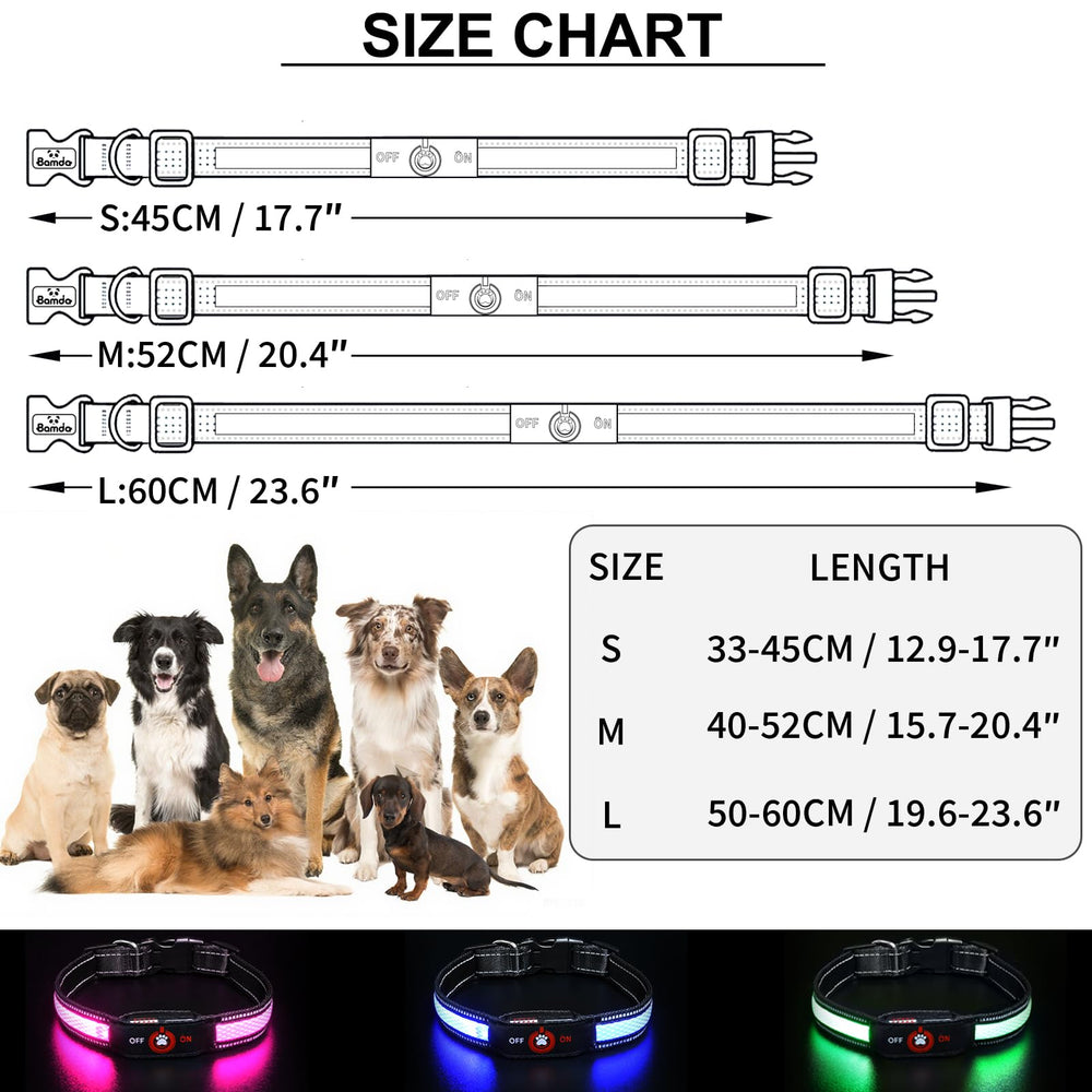 Bamda light-up dog collar blue-m long-lasting battery for extended walks
