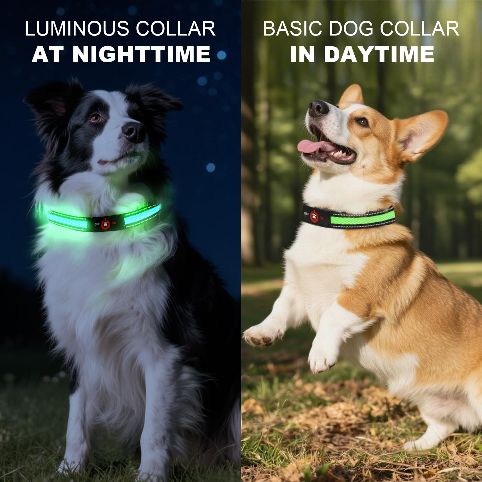 Bamda dog-visibility highlights clear identification for safe outdoor explorations.