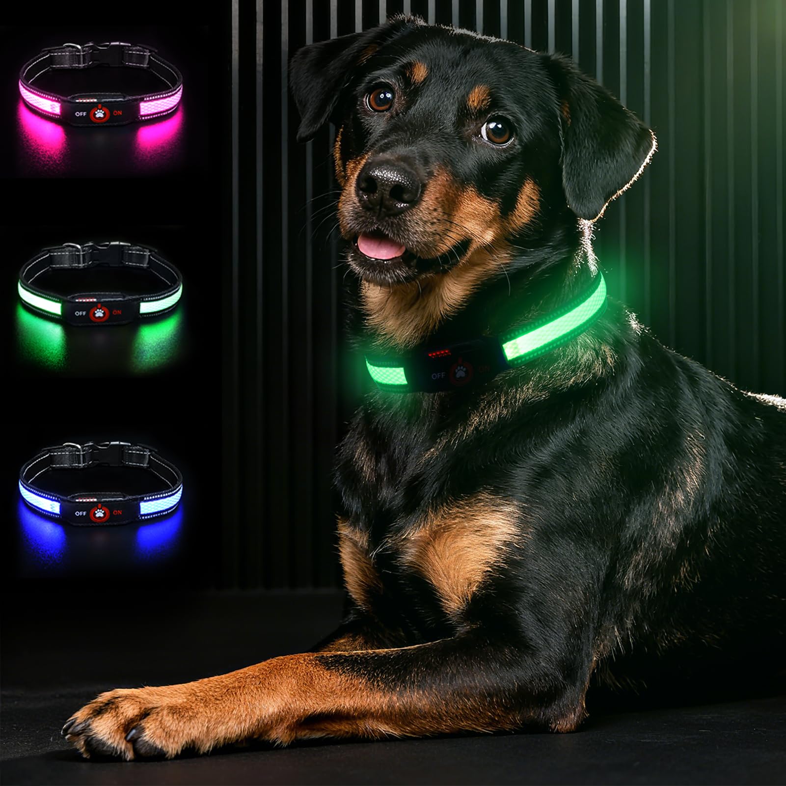 Bamda Light Up Dog Collar front view highlights bright LED visibility for safer night walks.