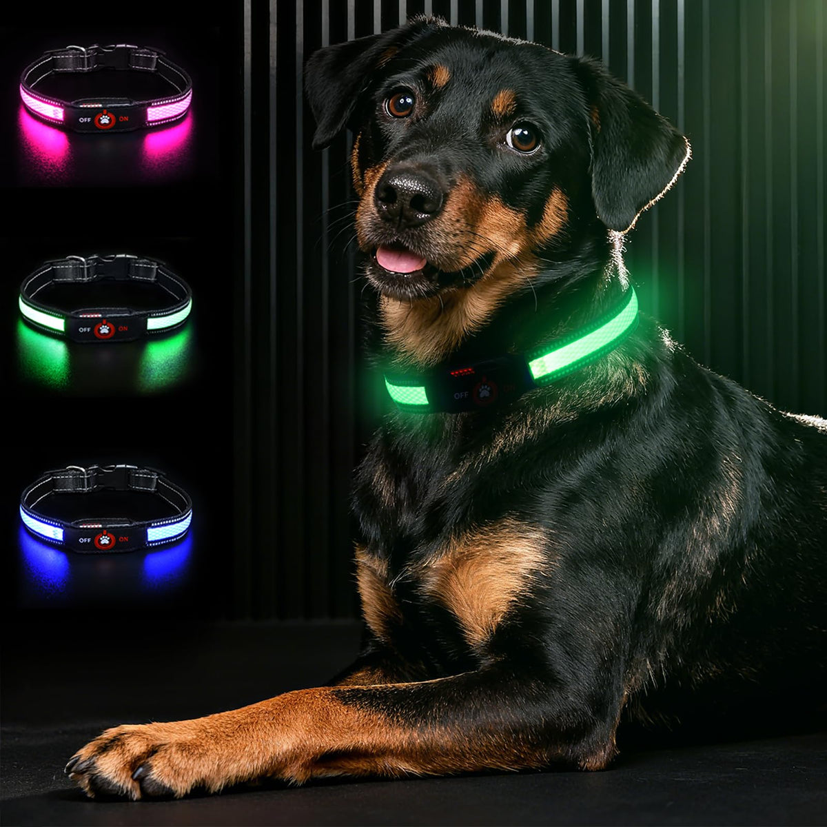 Bamda Light Up Dog Collar front view highlights bright LED visibility for safer night walks.