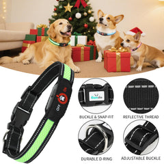 USB charging cable connected to Bamda collar for quick recharging.