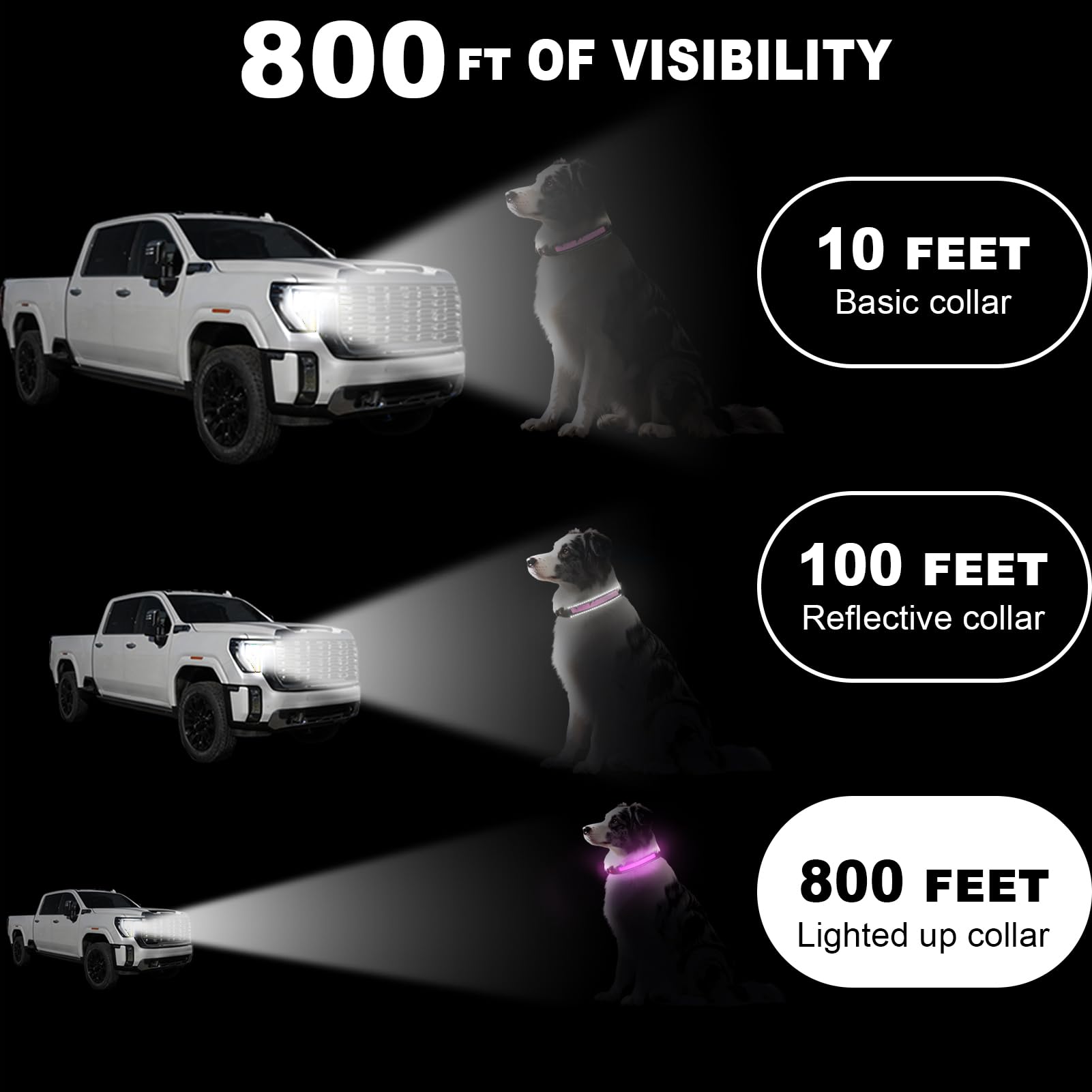 Bamda Light Up Dog Collar pink during night walk shows wide 270° illumination for visibility.