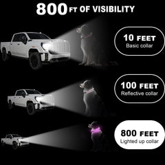 Bamda Light Up Dog Collar pink during night walk shows wide 270° illumination for visibility.