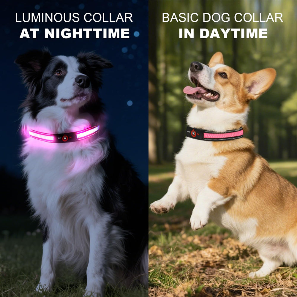 Bamda collar delivers up to 806ft visibility in low light conditions.