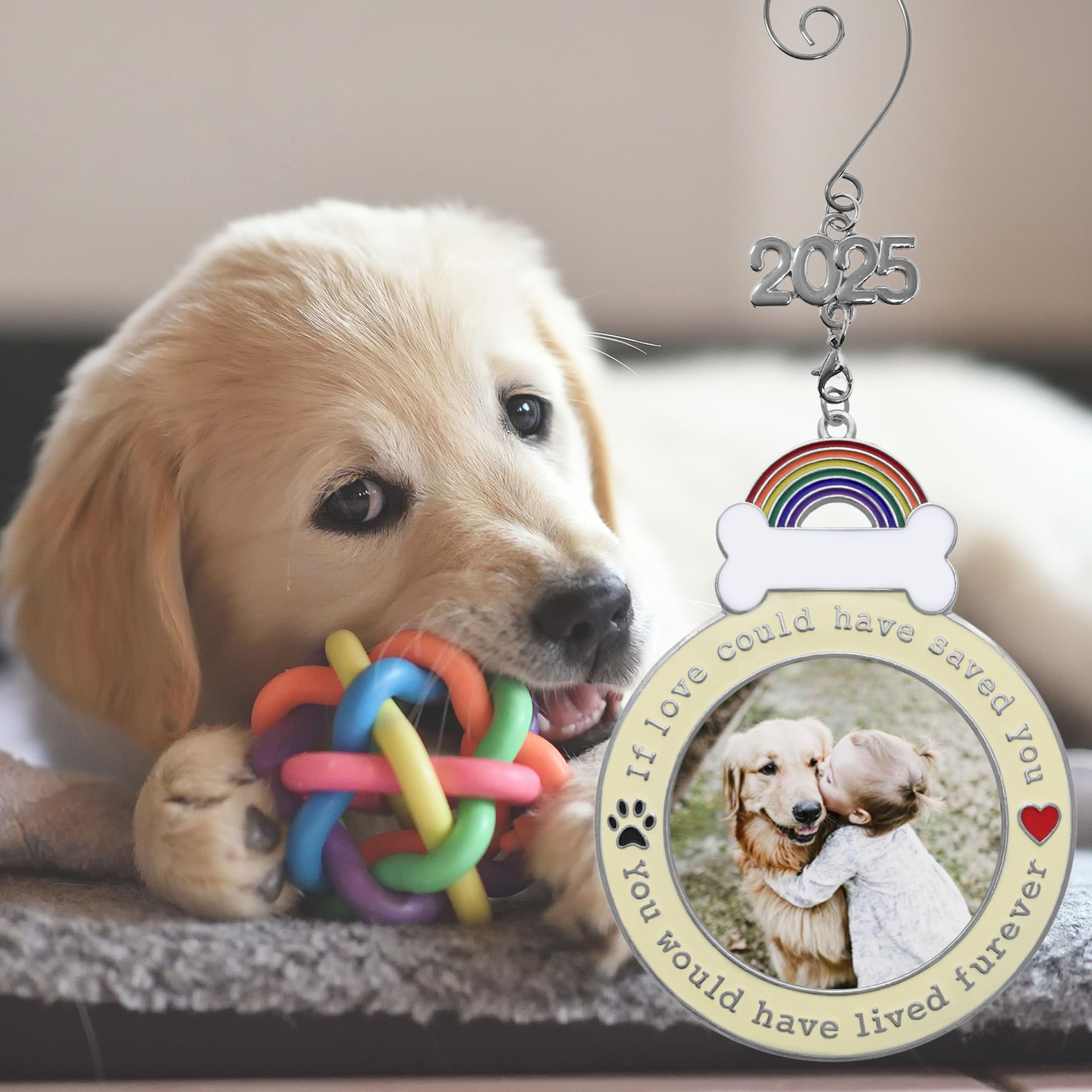 BANBERRY DESIGNS dog memorial 2025 ornament back view highlights engraving area for a personal message