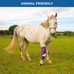 Bandvet Wrap water-resistant cohesive wrap demonstrates durable protection during activity.