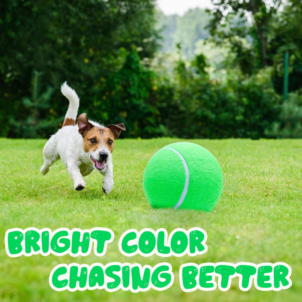 Banfeng ball package includes pet tennis ball and needles.