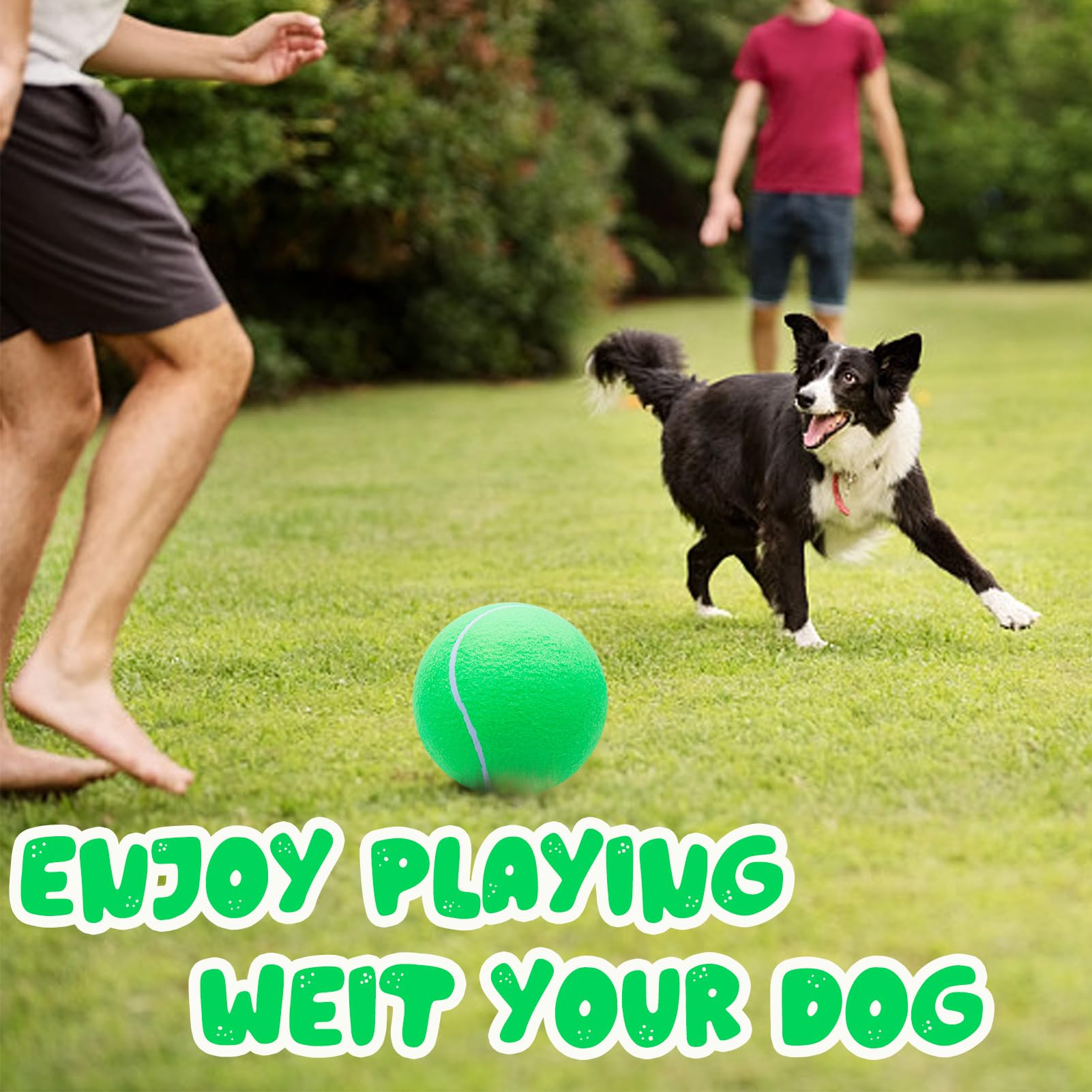 Banfeng giant dog ball ideal for training and park play.