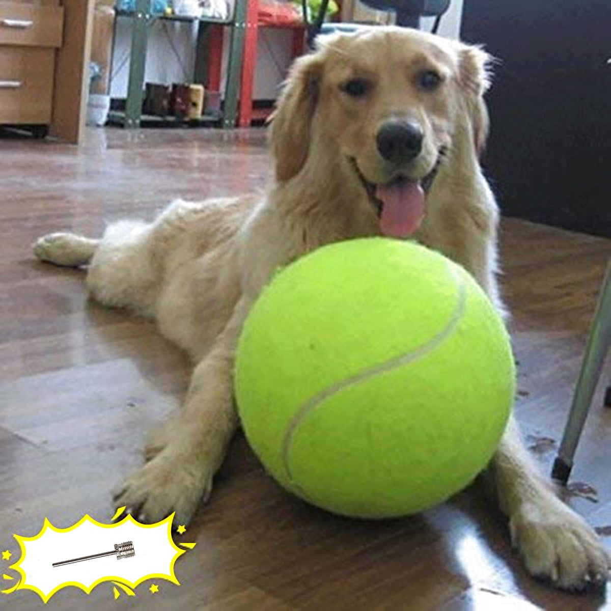 Banfeng big tennis ball for dogs in yellow, high visibility for retrieval.