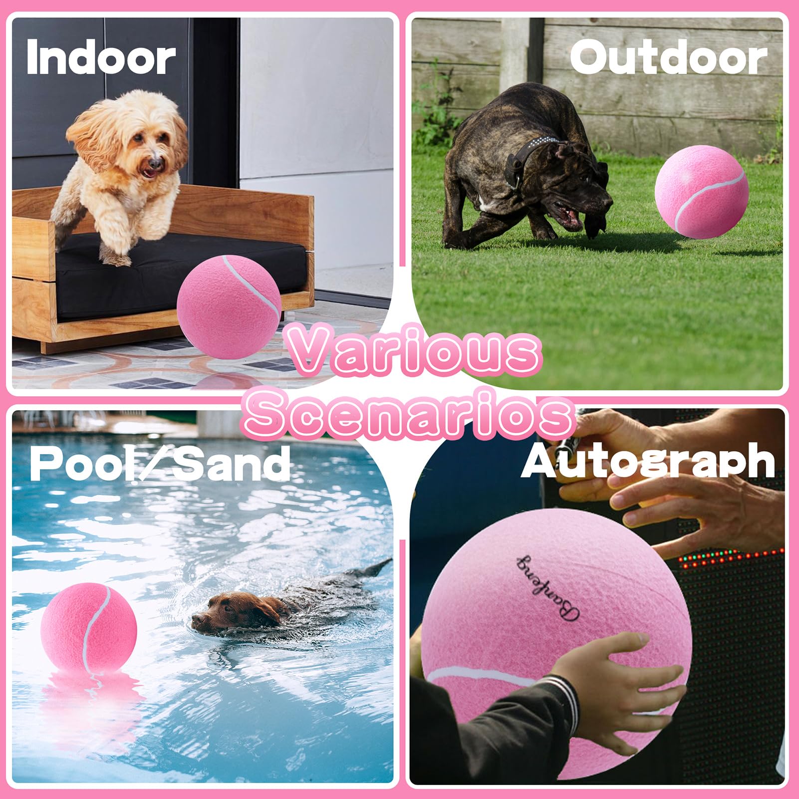 Banfeng big tennis ball pink bright colors aid visibility during fetch games