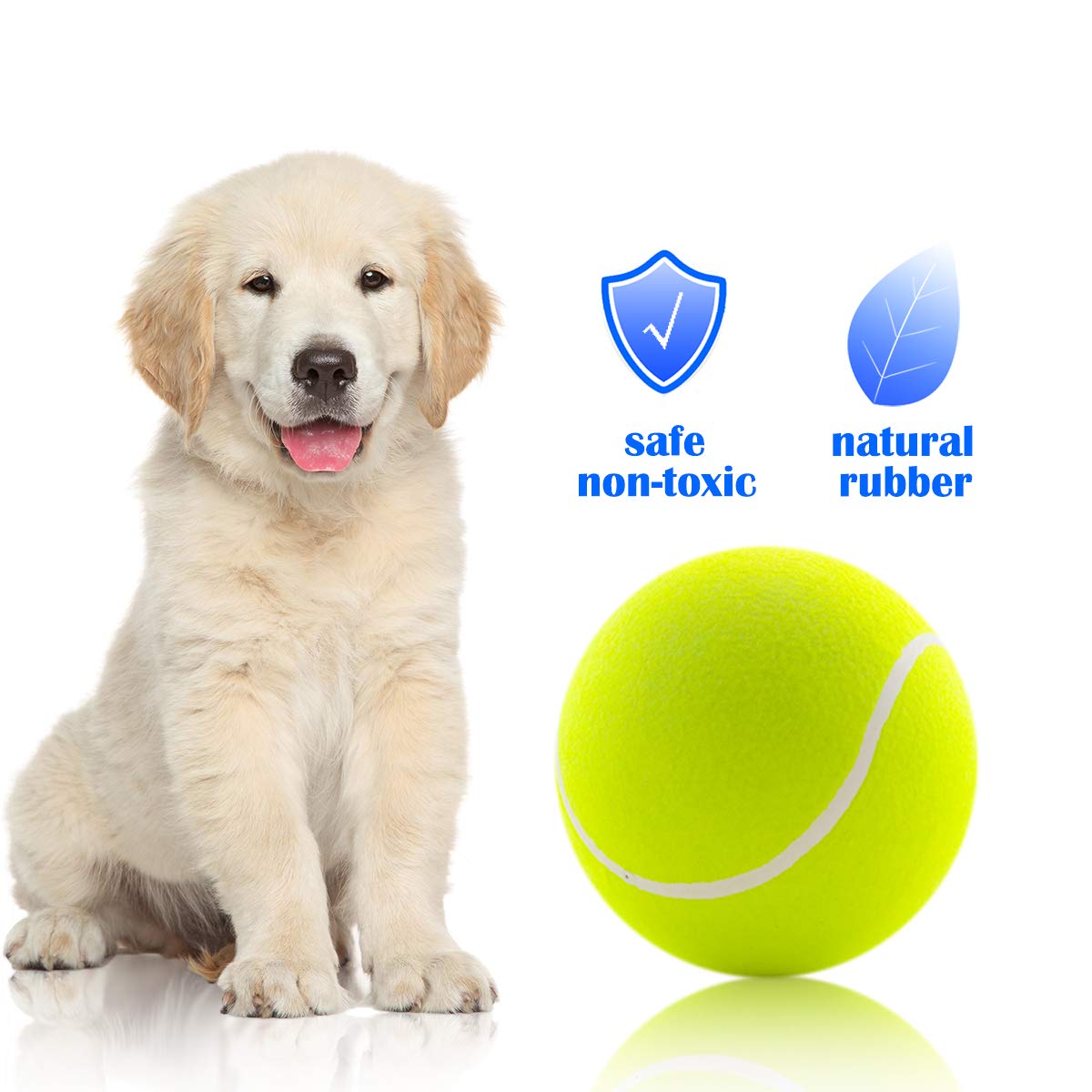 Banfeng dog play in park image illustrating the giant ball in action.